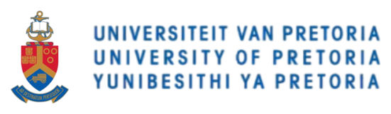 University of Pretoria